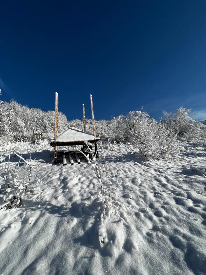 Hotel Купецький Двір à Mizhhirya  Extérieur photo
